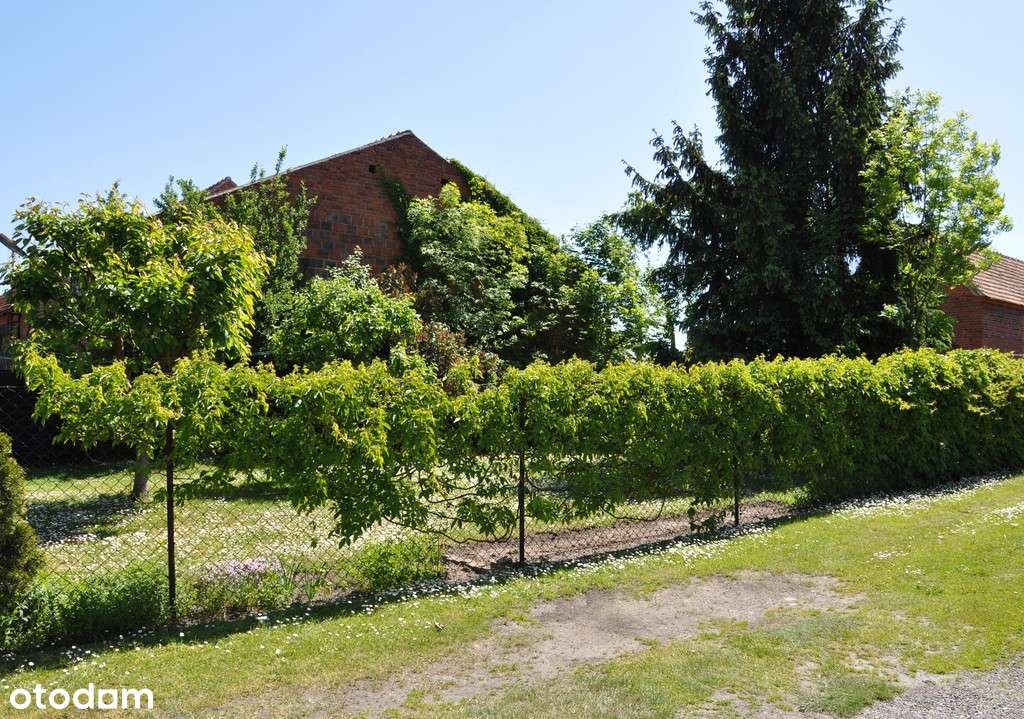 Mieszkanie z ogródkiem w m. Witaszyce-8