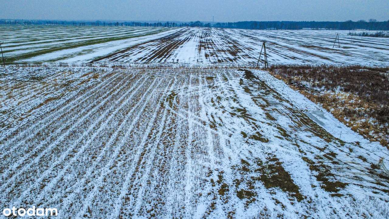 1070 m² | MPZP | Spokojna okolica | Konstantynów-1