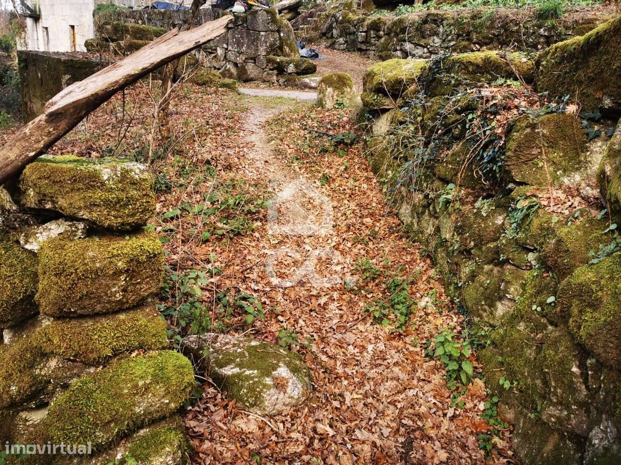 Quinta à venda em Rossas, Vieira do Minho-14