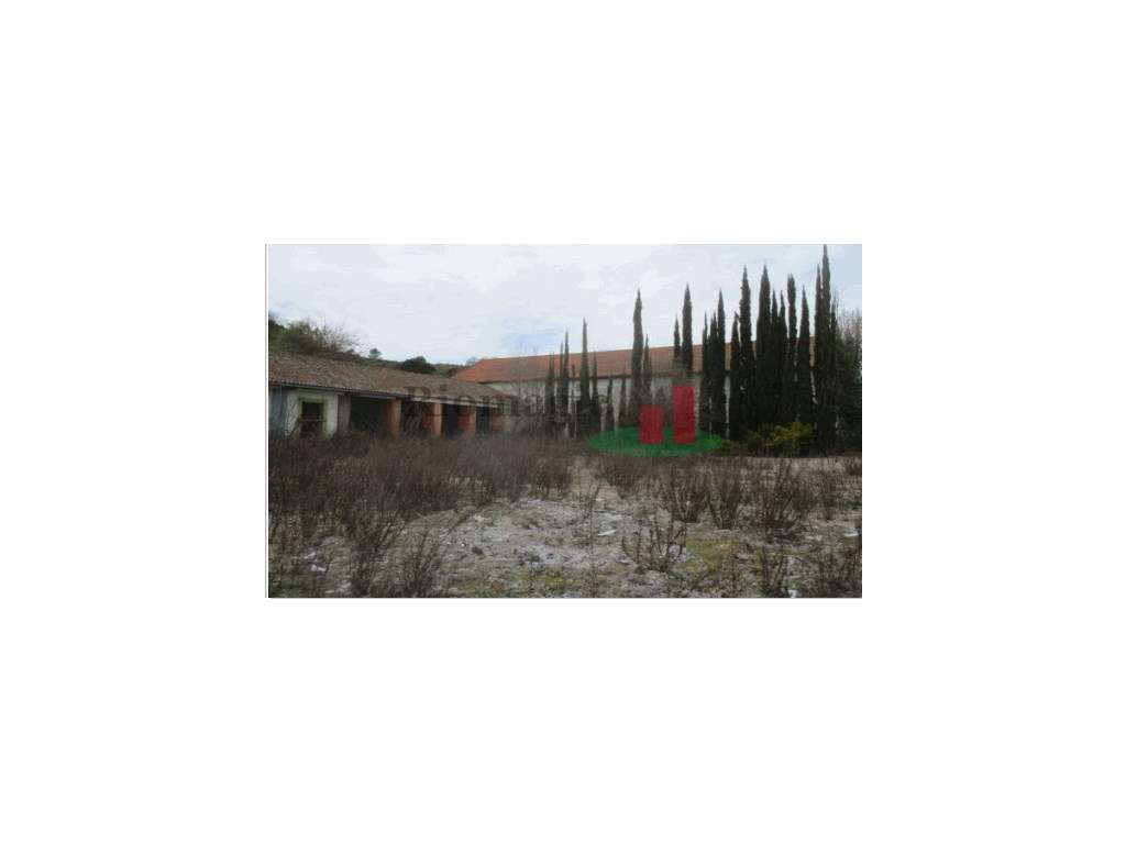 Moradia T6 Constância***RIOMAGIC*** - Grande imagem: 2/9