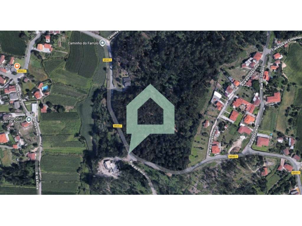 Bouça centro Couto Barcelos - Grande imagem: 3/13