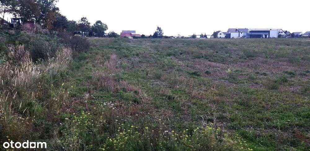 Tarnowo Podgórne-Góra - ul. Poznańska - nowa cena-5