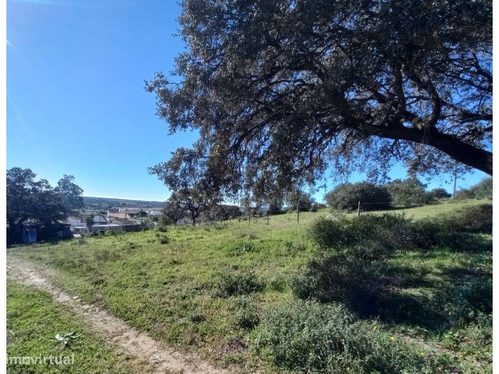 Terreno - quinta, Investimento, 12 hectares e 844 m2 edificados, Évora - Grande imagem: 4/30