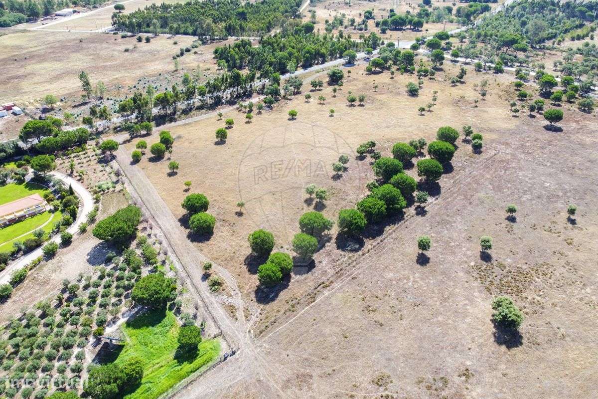 Terreno  para venda - Grande imagem: 4/8