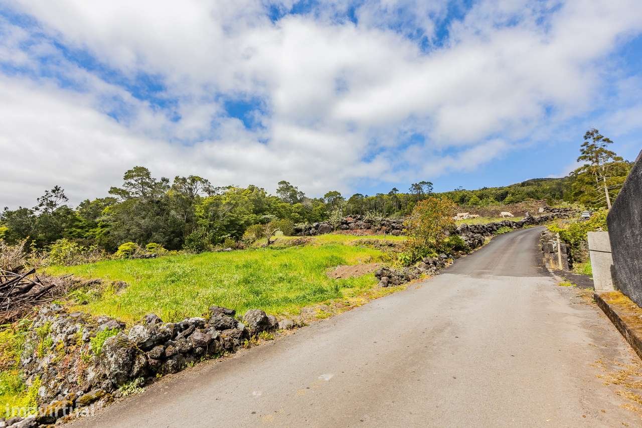 Terreno Rústico - Ilha do Pico - Grande imagem: 2/6