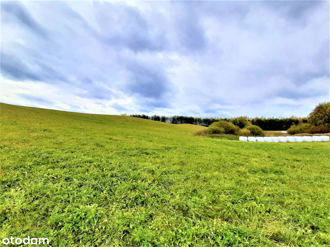 Stręgiel. Wyjątkowa działka do sprzednia - Pełny obrazek: 4/19