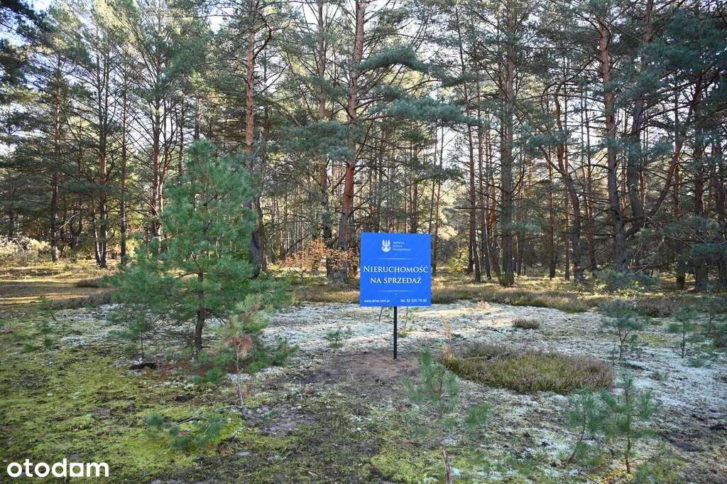 Działka pod zabudowę jednorodzinną - Piła, ul. Śni - Pełny obrazek: 5/7