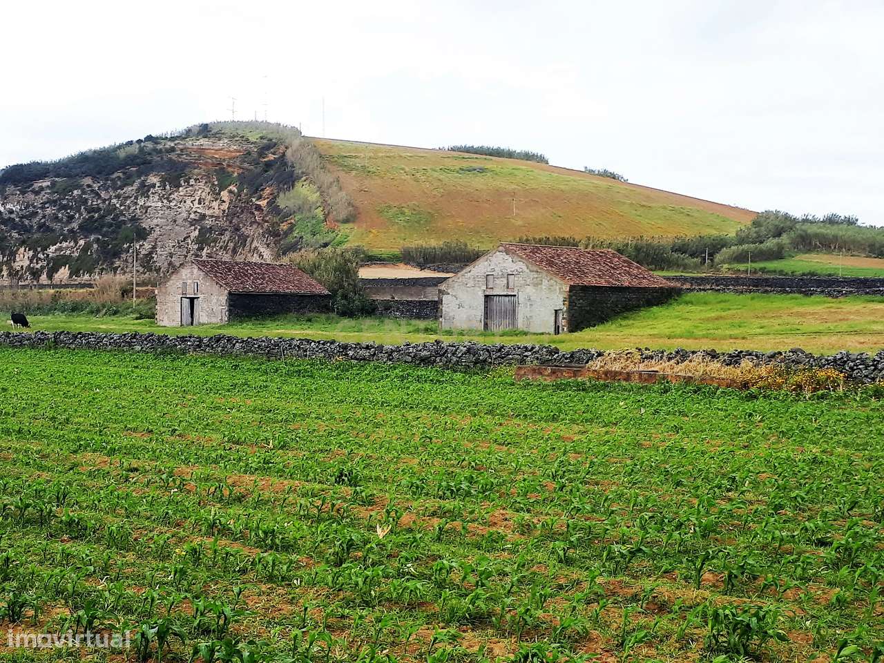 Propriedade Única com Mais de 18.000 m² Junto à Praia de Santana – Dua - Grande imagem: 2/15