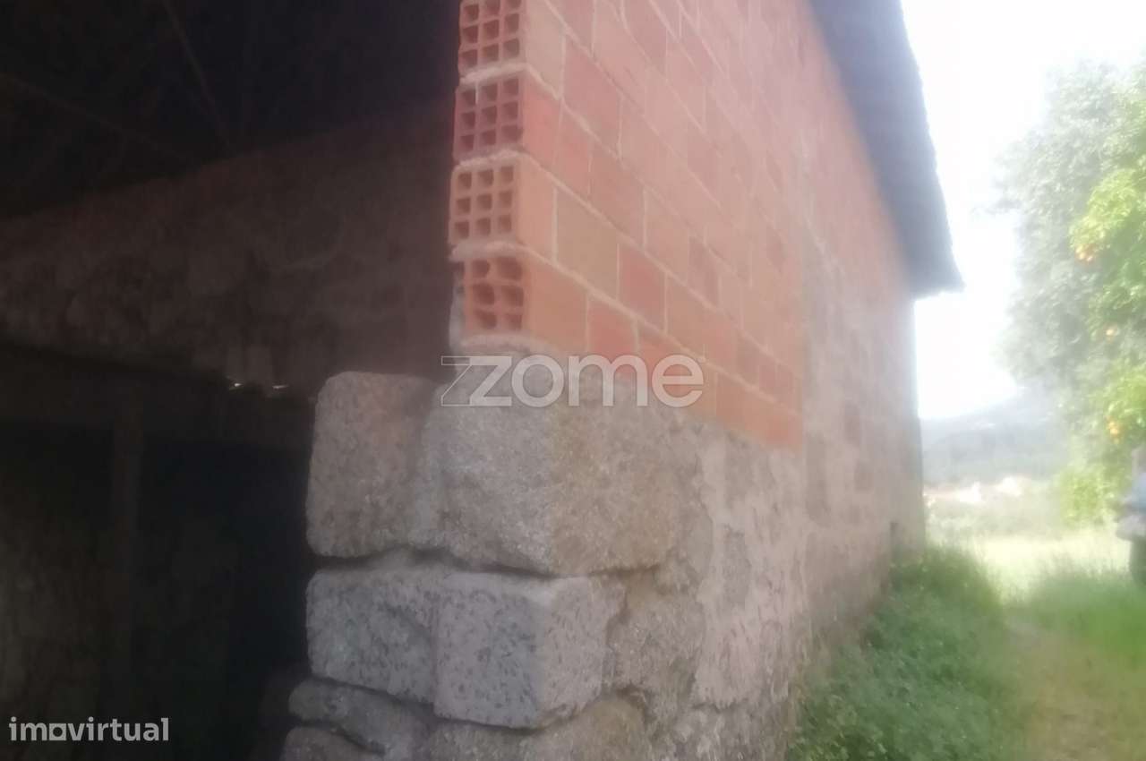 Terreno Rústico e Casas com vista para a Serra do Caramulo - Grande imagem: 3/18