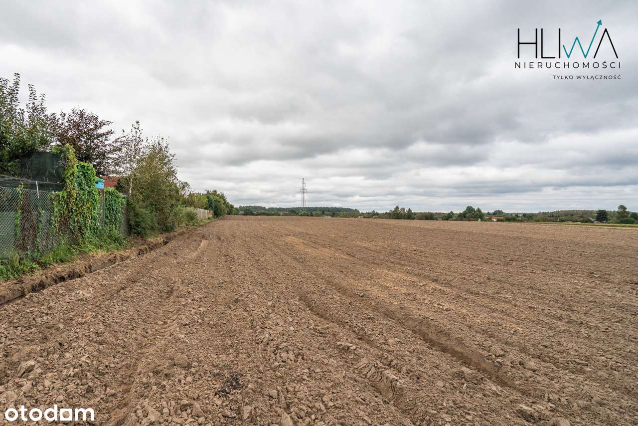 Działki rolne Gdynia Obłuże, powierzchnie od 3003 m2-11