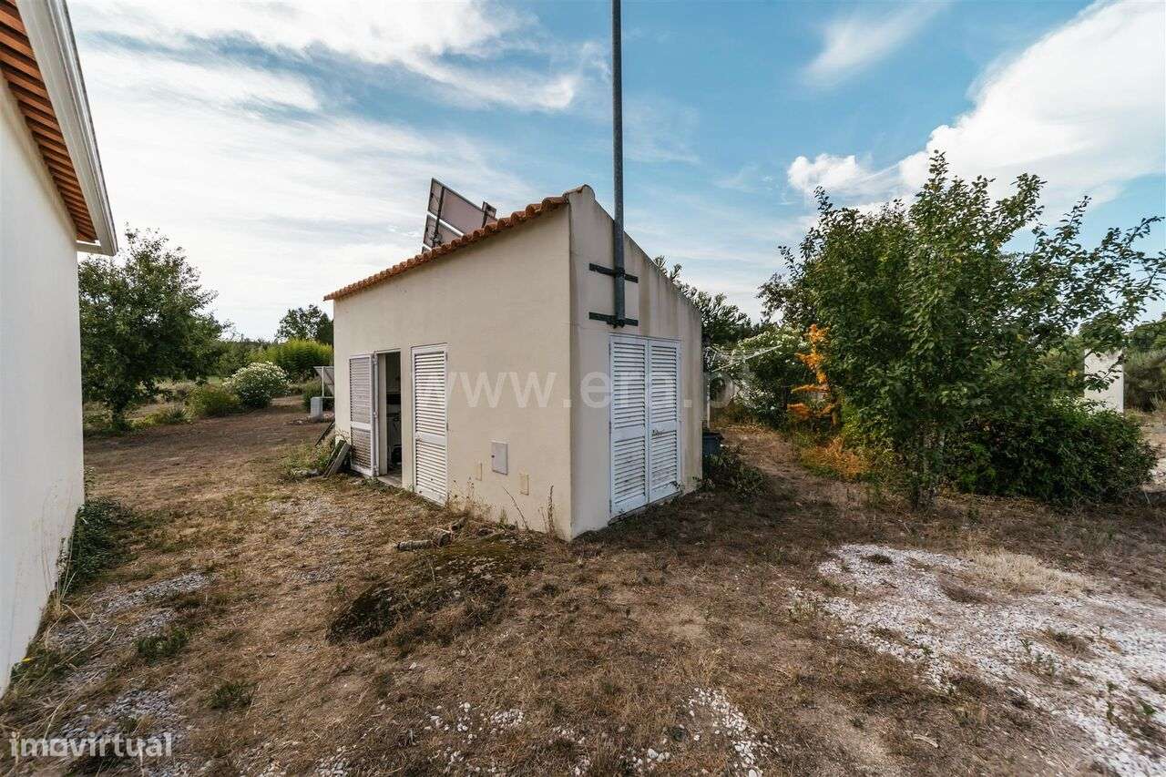 Quinta T3 / Oliveira do Hospital, Seixo da Beira - Grande imagem: 5/19