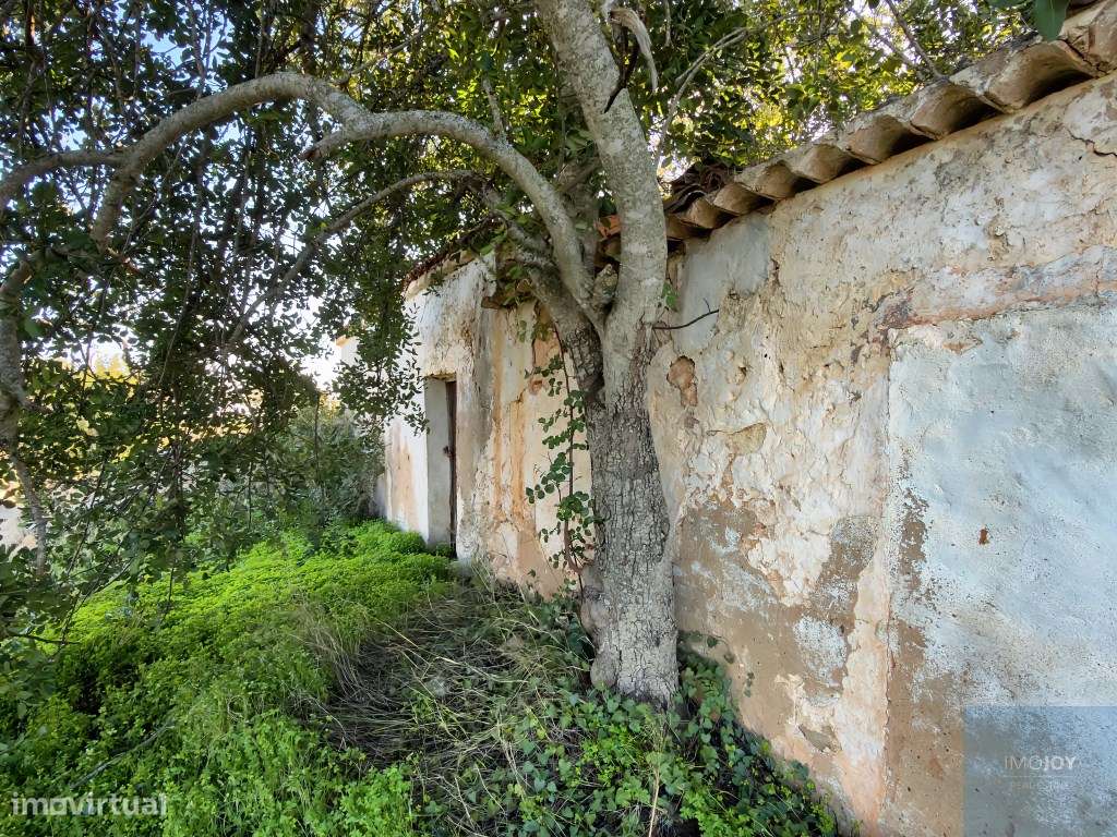 Magnífico Terreno com Ruína em Vale Pegas - Paderne - Grande imagem: 3/29