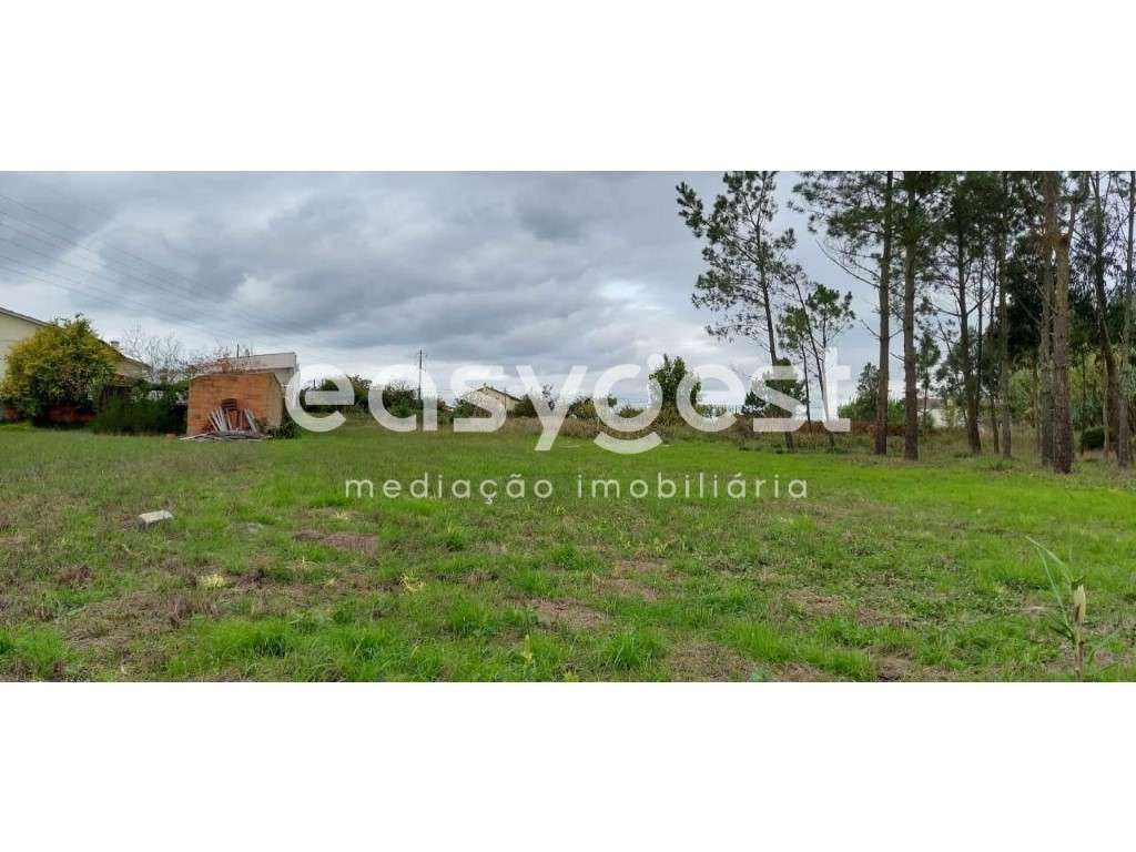 Terreno plano e soalheiro com 1712m2 no Pilado- Marinha Grande - Grande imagem: 5/15