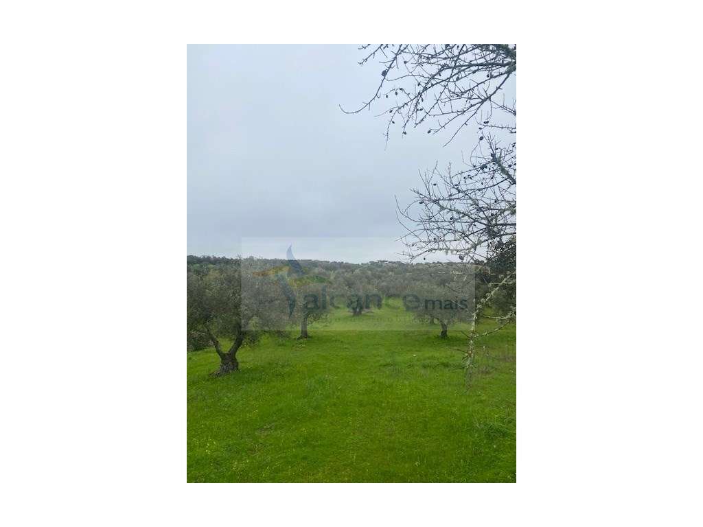Terreno Misto em Vila Verde de Ficalho - Serpa (Beja, Portugal)-5