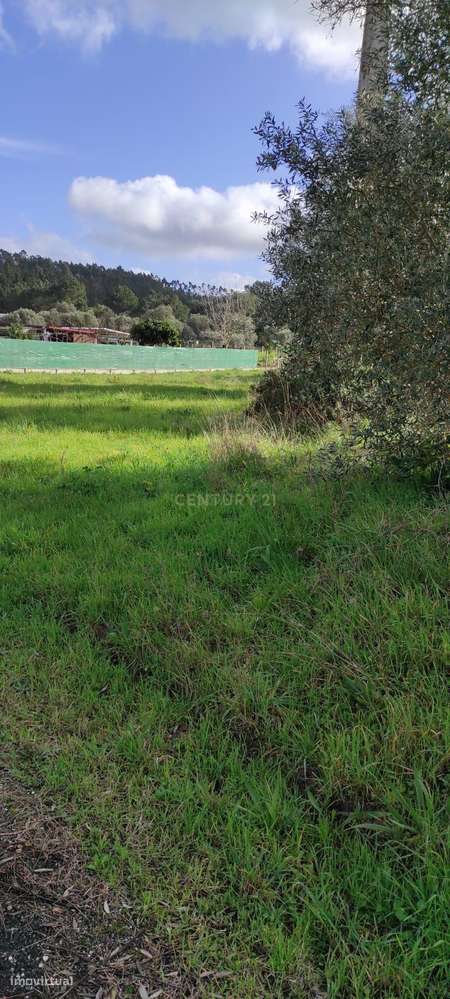 Fantástico terreno para duas moradias-2