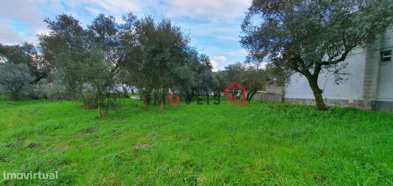 Terreno rústico com viabilidade de construção – Ortigosa - Grande imagem: 5/7