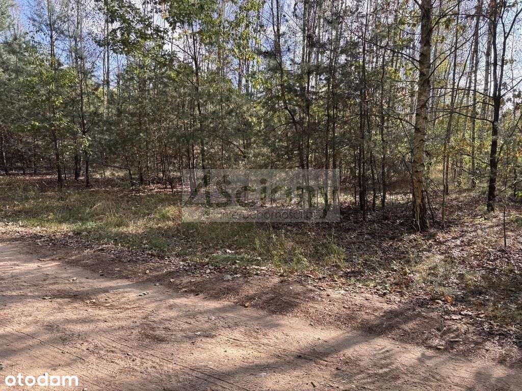 Działka budowlana w okolicach Czosnowa - Pełny obrazek: 4/12