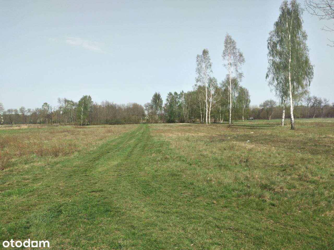 Działka inwestycyjna w m. Lipinki Łużyckie-10