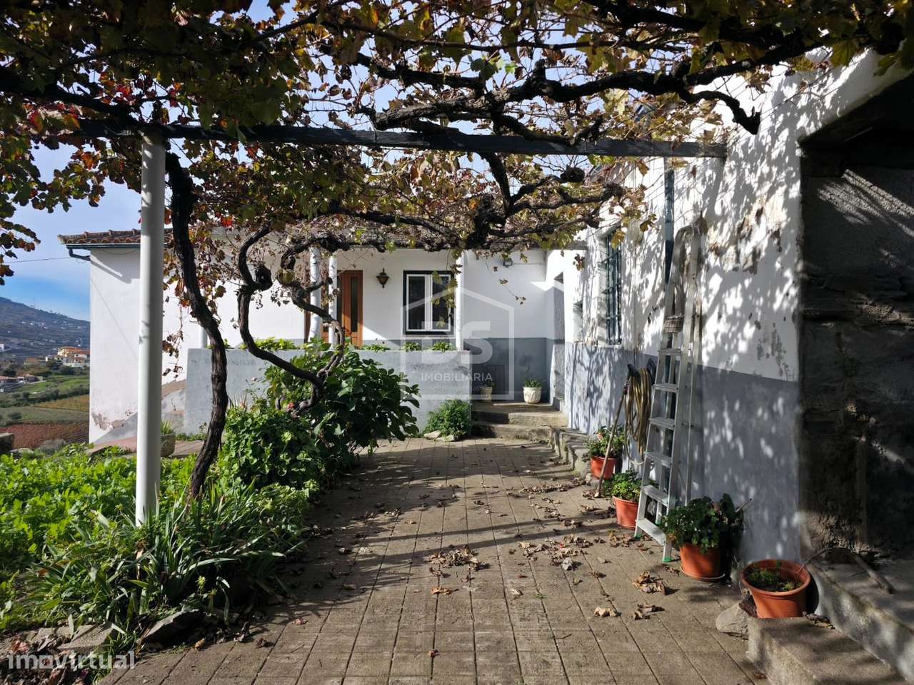 Quinta T4 Venda em Fontelas,Peso da Régua-12