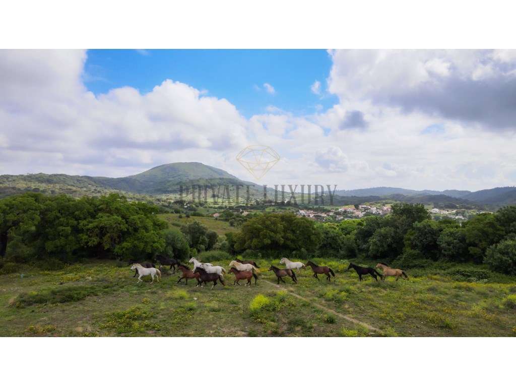 Herdade com 271 hectares na Serra da Arrábida - Setubal - Grande imagem: 4/60