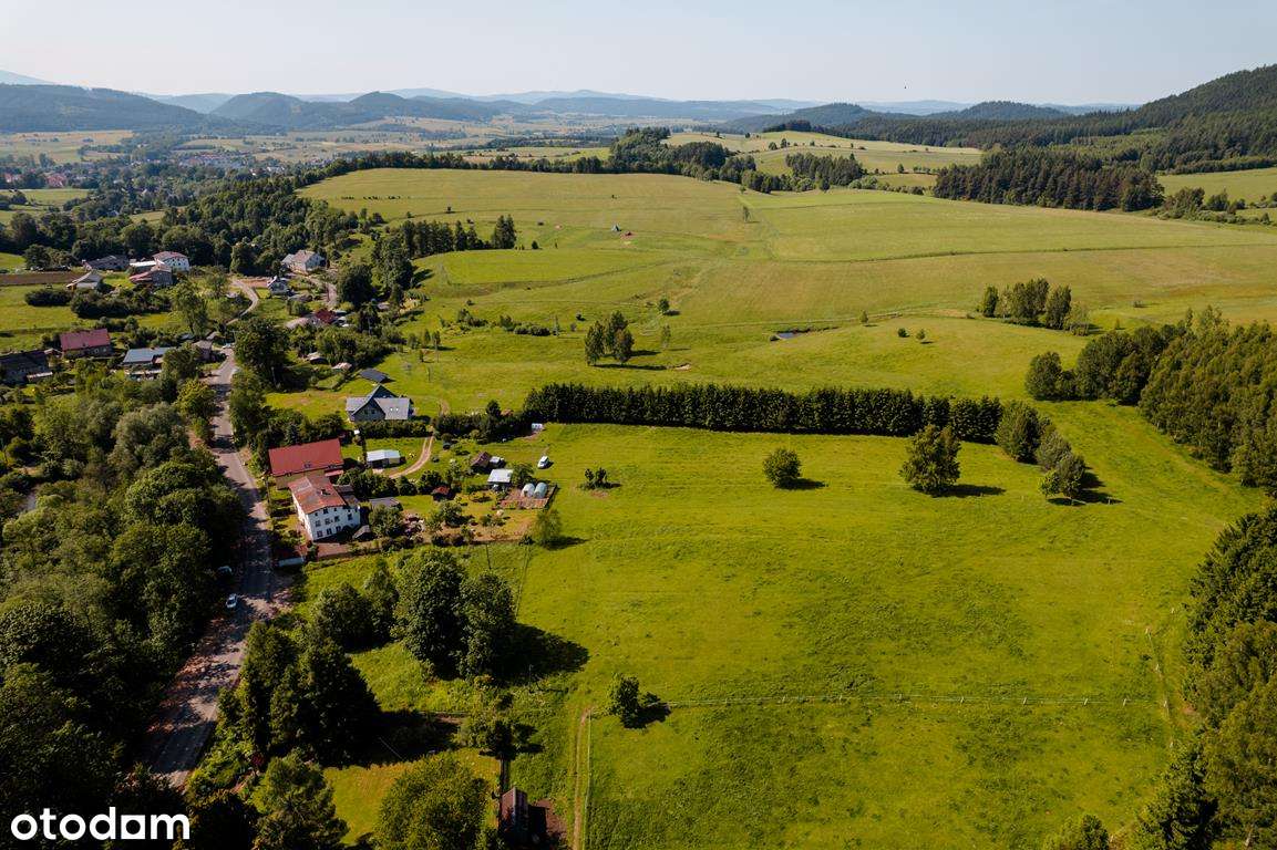 Działka w Górach Kamiennych przy asfalcie - Pełny obrazek: 4/15