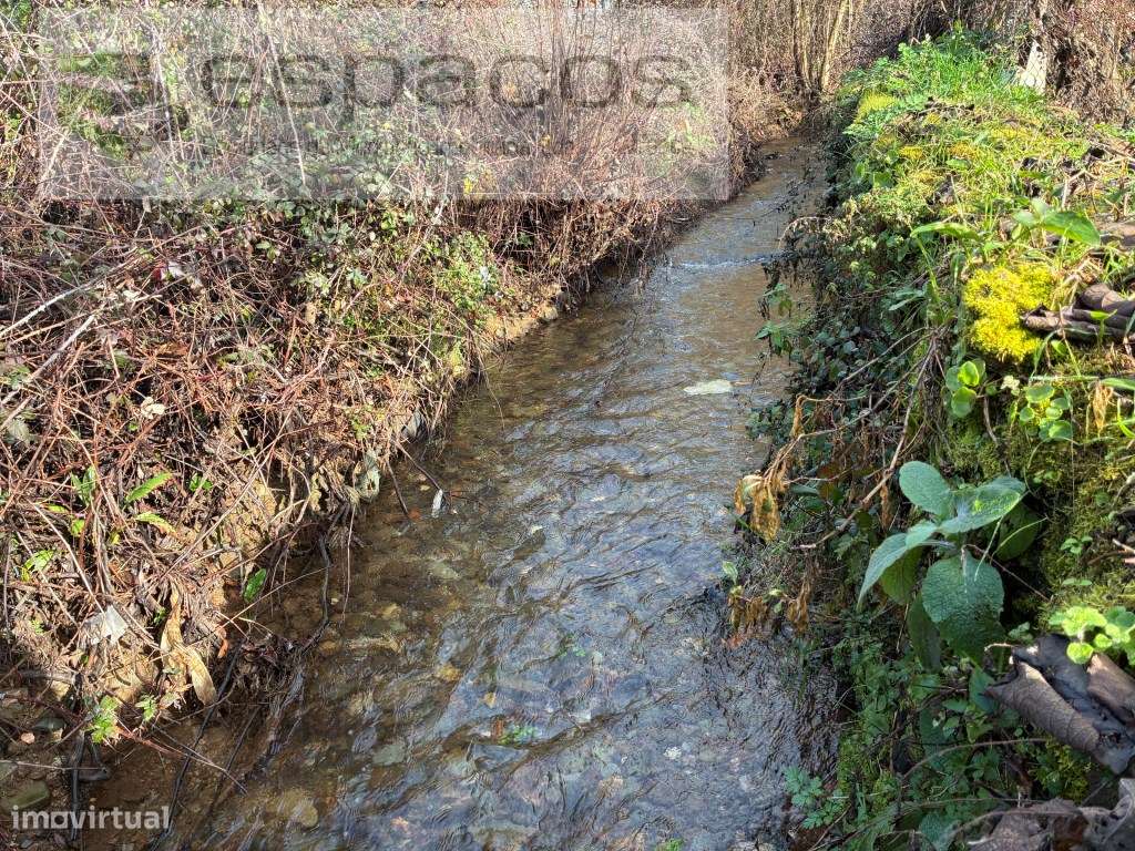 Magnifica Quinta a confinar com Rio Zêzere-22