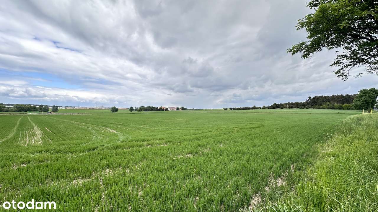 Działka rolna pod inwestycję ! - Pełny obrazek: 4/6