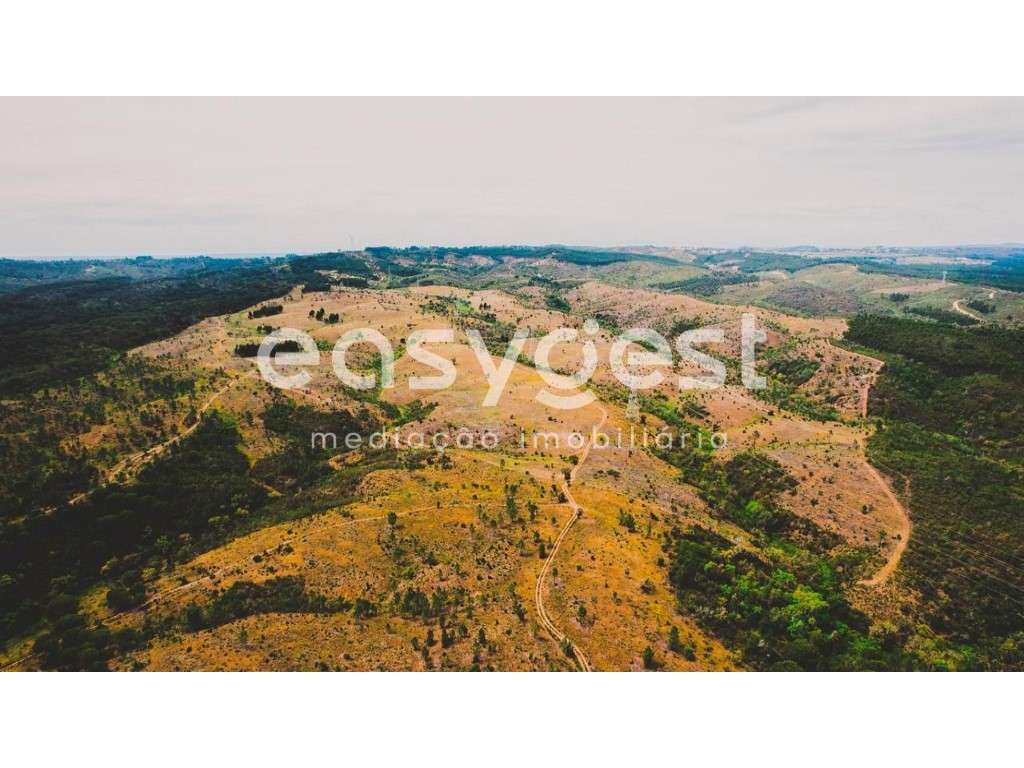 Terreno com 92 Ha a cerca de 5 Km do Centro de Santiago do Cacém - Grande imagem: 4/48