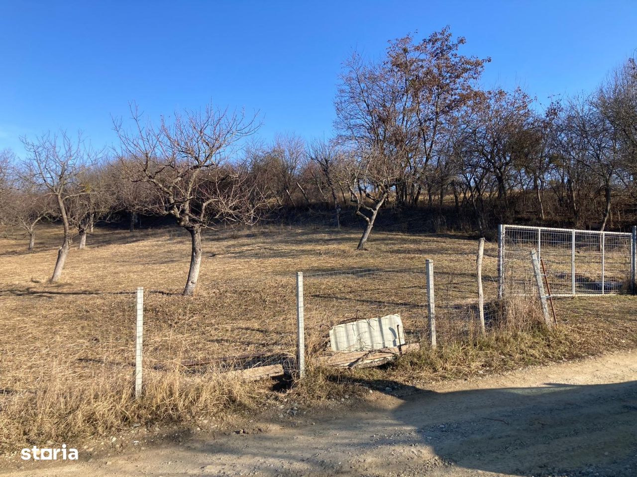 Teren Intravilan | Panoramă Superbă, Valea Budacului