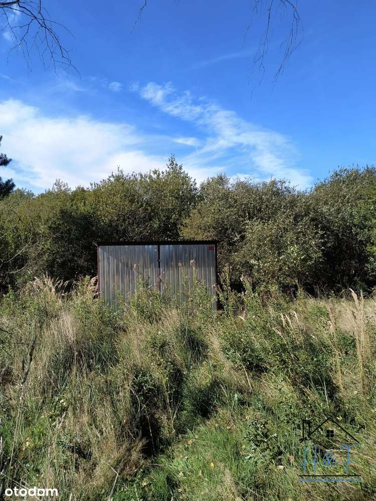 Działka blisko natury z garażem i prądem - Pełny obrazek: 5/12