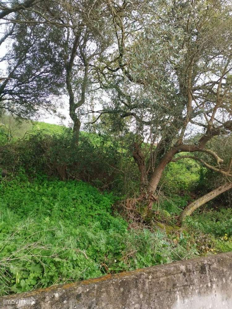 Terreno à venda em Sintra - Grande imagem: 2/3