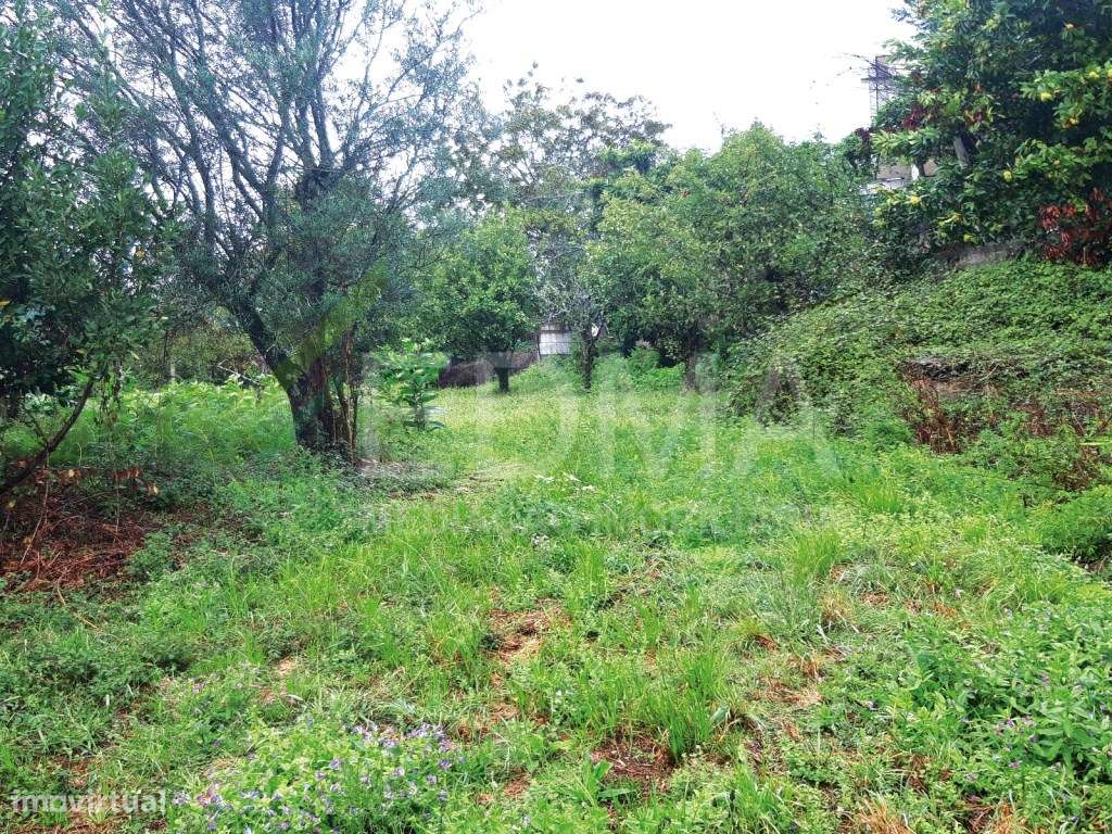 Terreno Rústico São Lourenço Selho - Grande imagem: 4/9