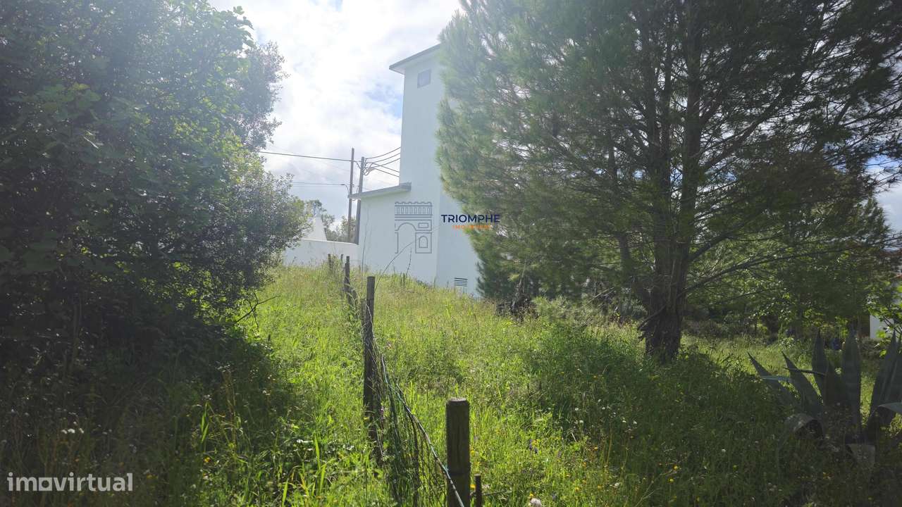 Terreno Rústico Urbanizável, Paialvo, Tomar - Grande imagem: 4/11