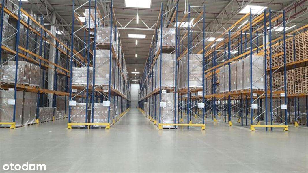 Magazyn na podnajem 1,000 m2 Piotrków Tryb. - Pełny obrazek: 2/5