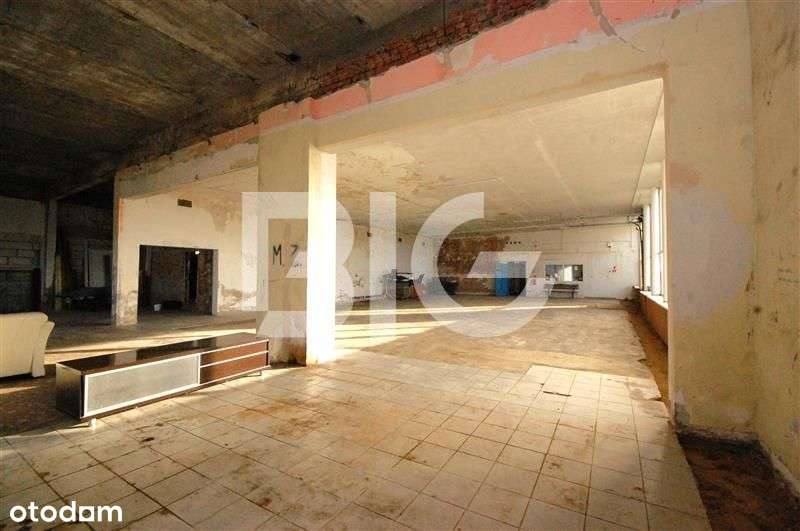 Obiekt produkcyjno-magazynowy + plac. - Pełny obrazek: 4/6