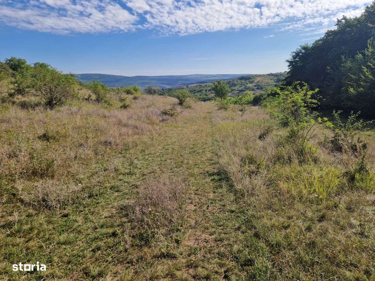 Teren 5800 mp extravilan in Suceagu ideal investitie - Imagine principală: 2/3