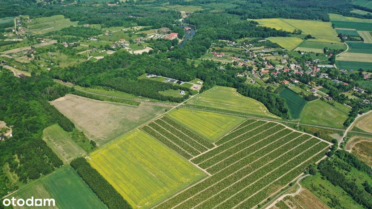 OSTATNIE DZIAŁKI - Strzelinko - komplet uzbrojenia-9