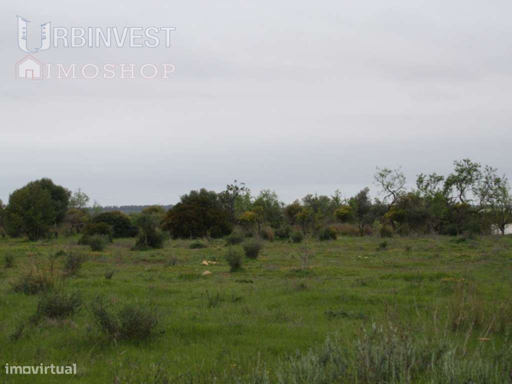Terreno com Ruina em Falfosa, Santa Barbara de Nexe - Grande imagem: 3/5