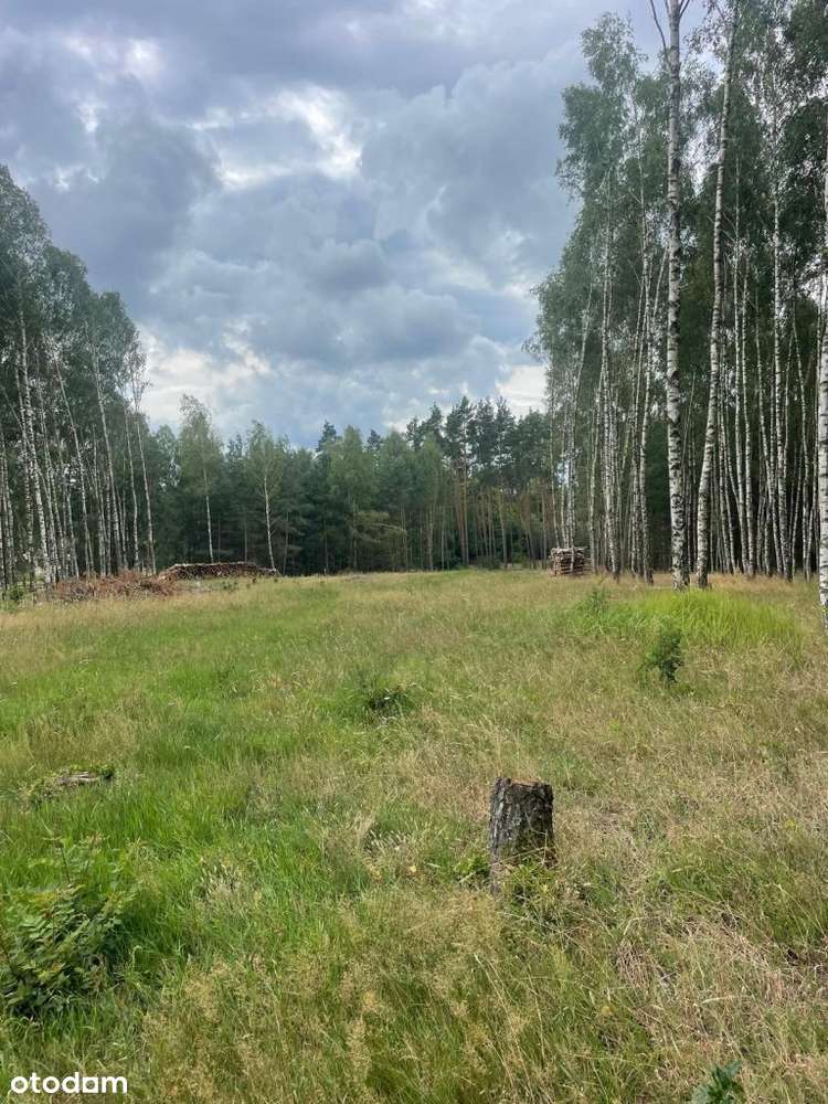 Działki budowlane w Klotyldzinie - Pełny obrazek: 5/9