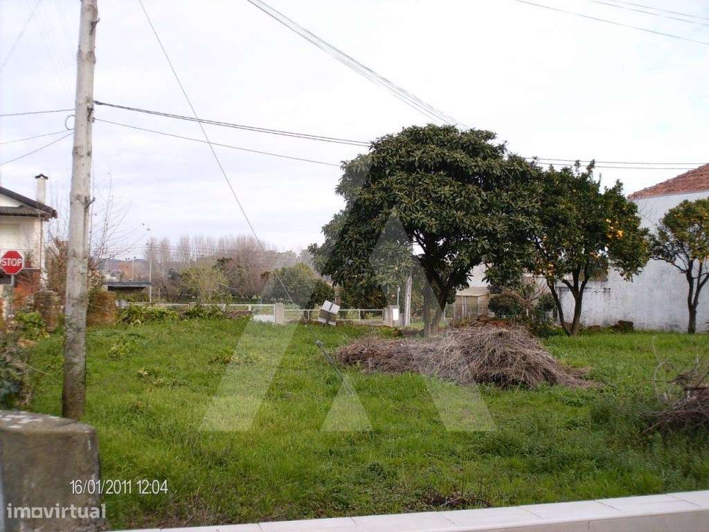 Terreno localizado em Troviscal e Mamarrosa - Grande imagem: 3/4