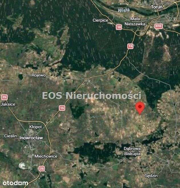 Działka, 30 005 m², Opoczki-2