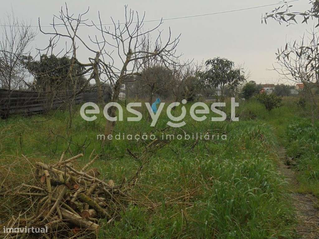 Terreno com 3060 m2 de área muito próximo da Cidade de Tomar - Grande imagem: 4/11