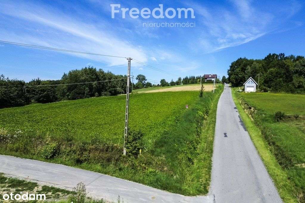 Działka 49 ar pod siedlisko, prąd i gaz na miejscu - Pełny obrazek: 5/11