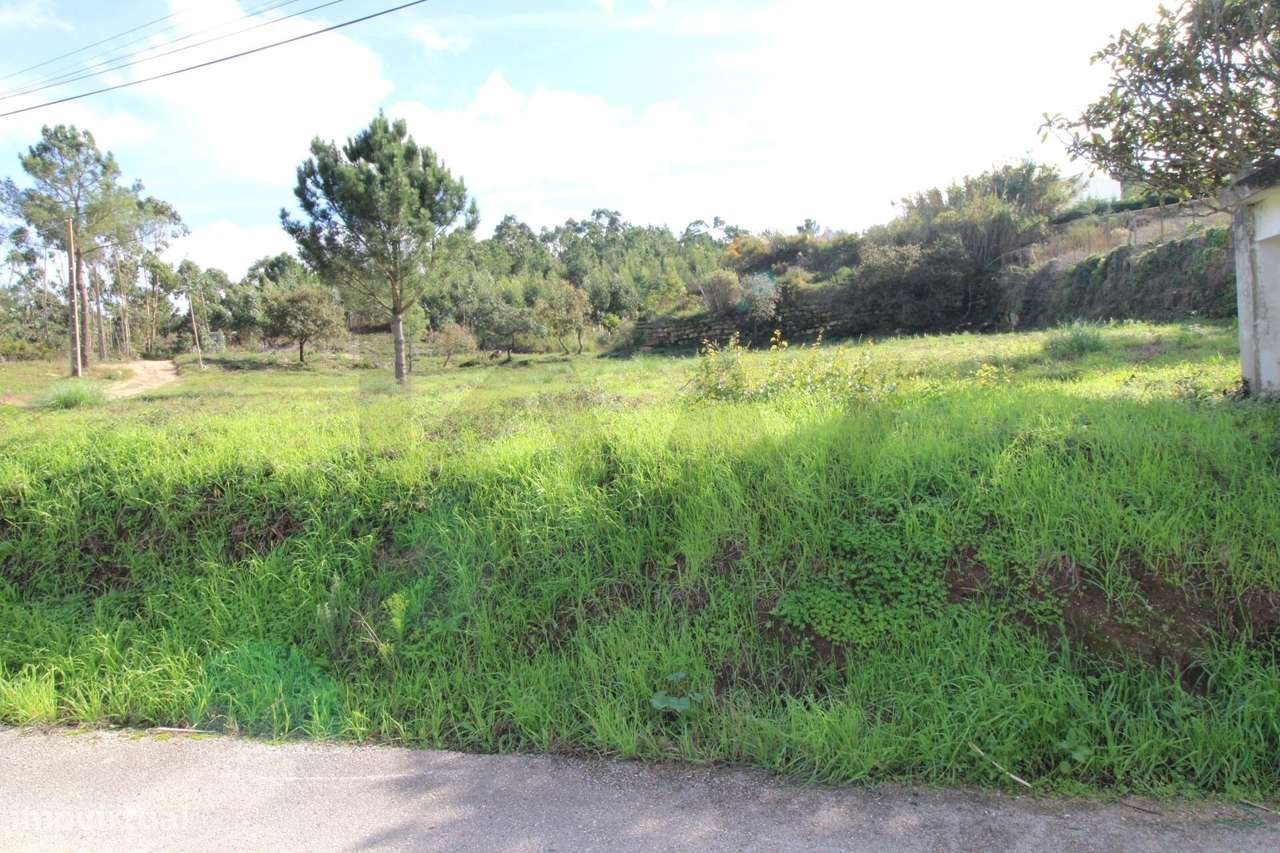 Terreno com 3000m2 URBANO - Grande imagem: 5/11