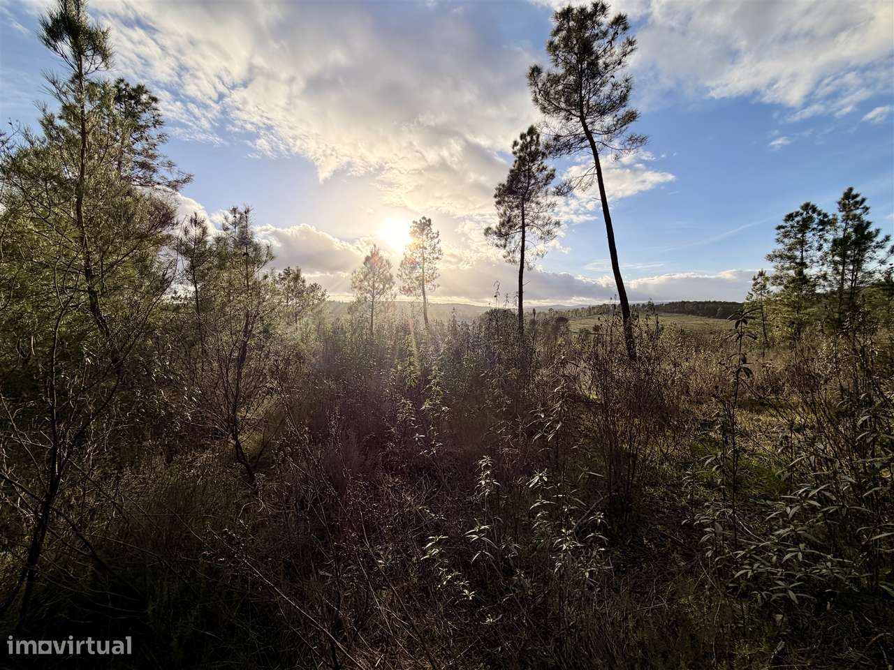 Quinta T0 Venda em Sarzedas,Castelo Branco-27