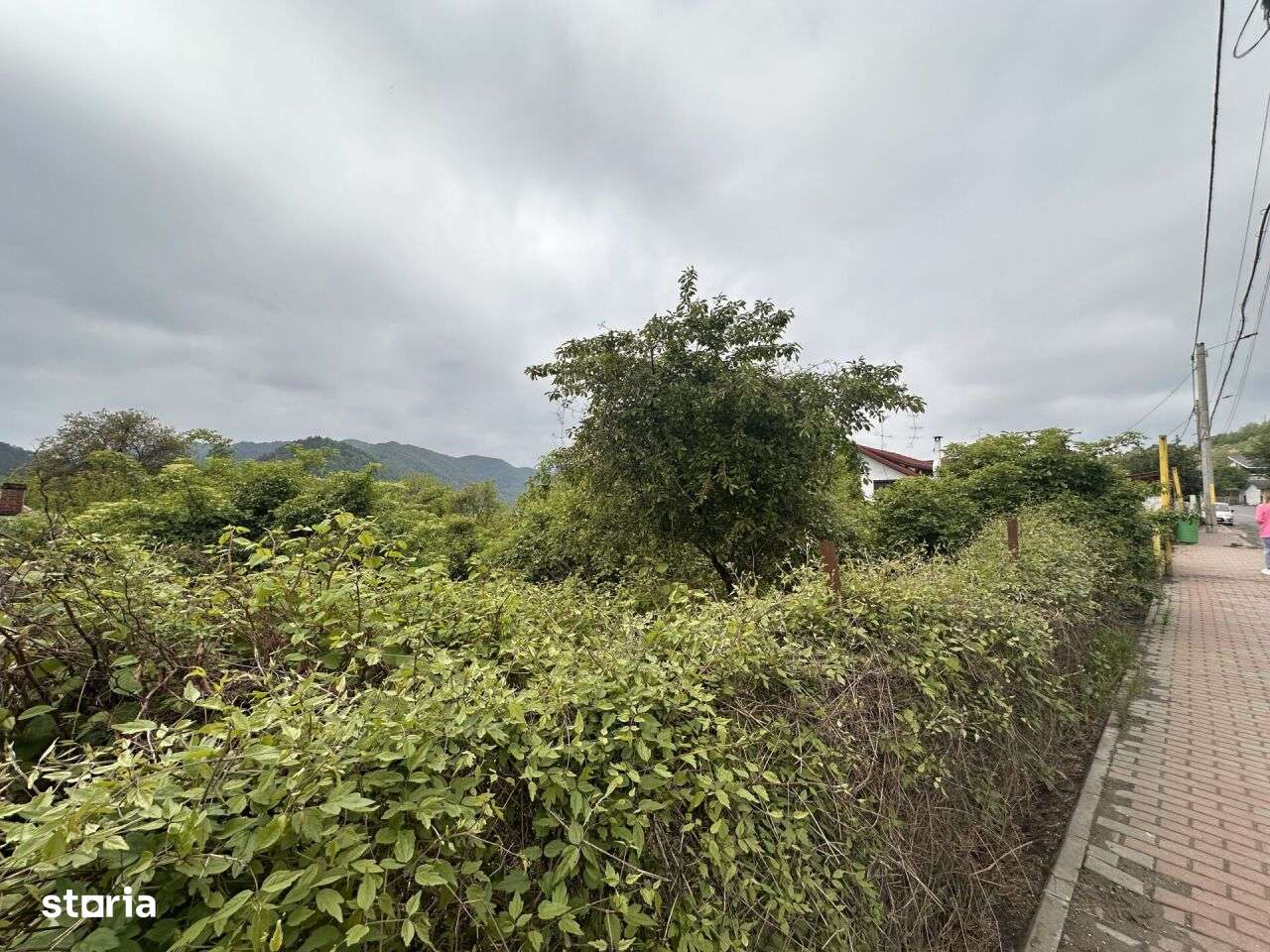 teren intravilan - Piatra Neamt - Sarata - Imagine principală: 2/6