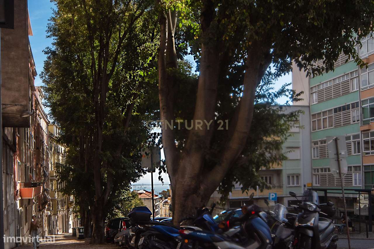 3 Assoalhadas no centro da Graça - Grande imagem: 4/31