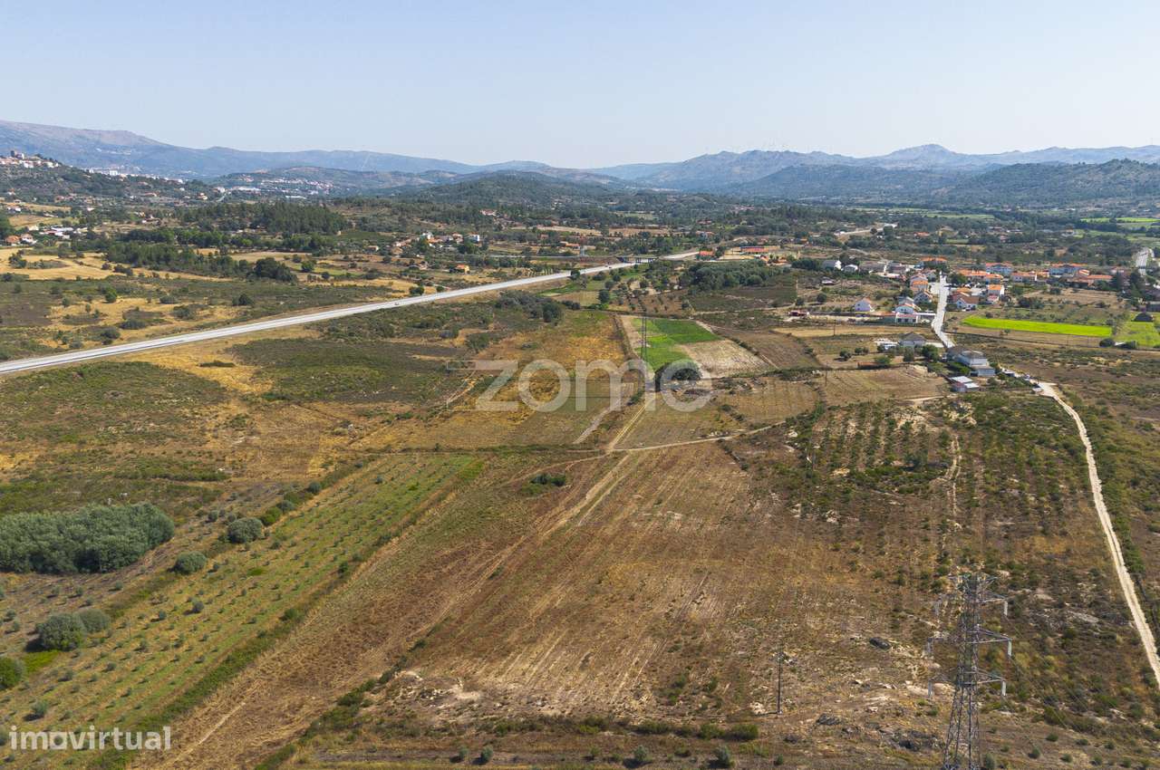 Terreno com projeto agrícola em Belmonte - Grande imagem: 2/15