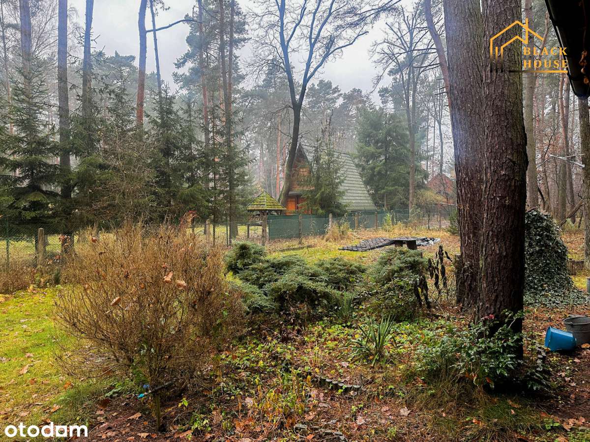 Działka w okolicach Zalewu, ul. Roślinna-3