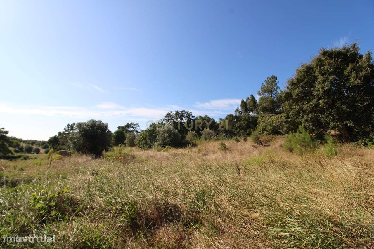 2 Terrenos Rústicos c/poço de água próximo da Cidade de Tomar - Grande imagem: 5/12